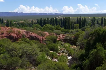 San Blas de los Sauces