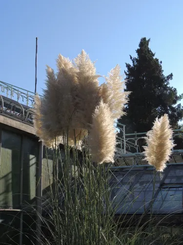 Jardín Botánico de la Universidad de Lieja