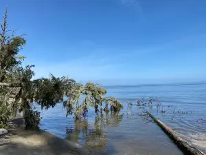 Leadbetter Point State Park