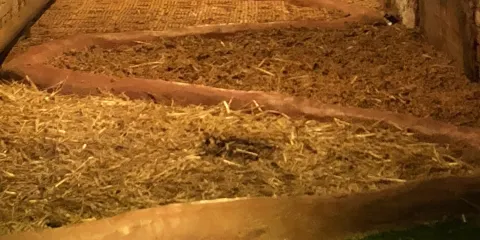 SinnesGange in der Ziegelei Oberkaufungen