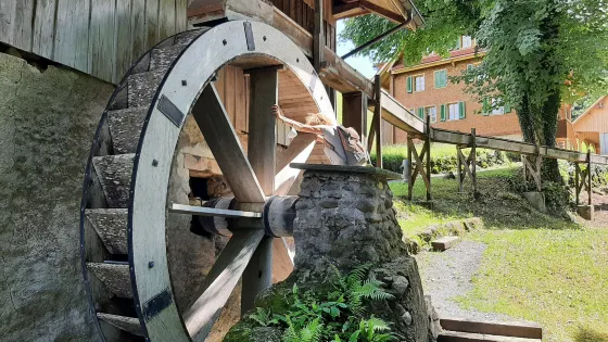 Hohle Gasse - Stiftung zur Erhaltung der Hohlen Gasse