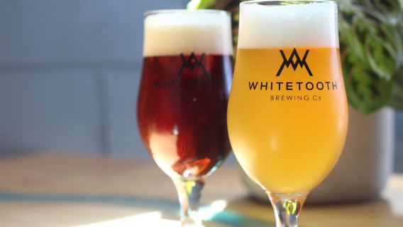 Whitetooth Brewing Company