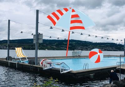 Horgen