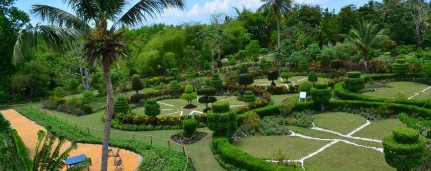 Cayes Botanical Garden