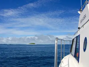 Dive Tonga