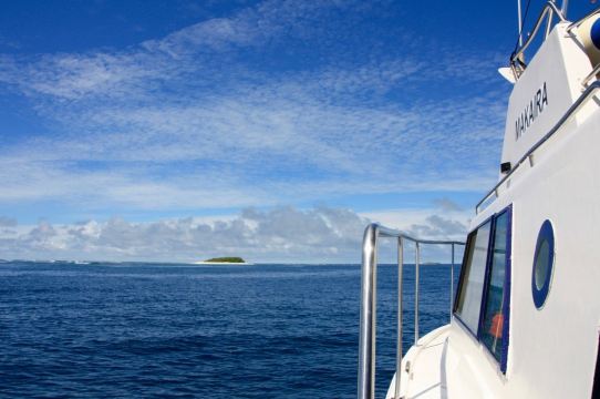 Dive Tonga
