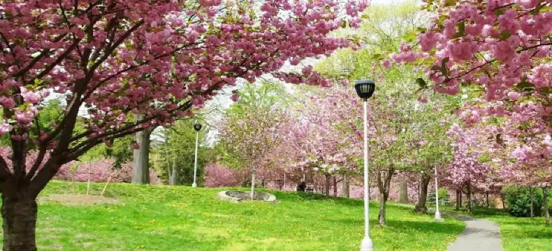 Hotels in White Plains