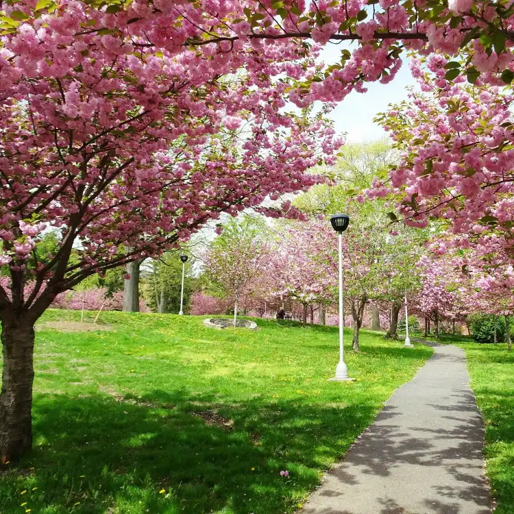 Hotels in White Plains