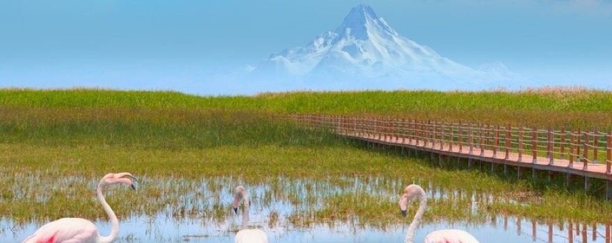 Sultan Marshes National Park