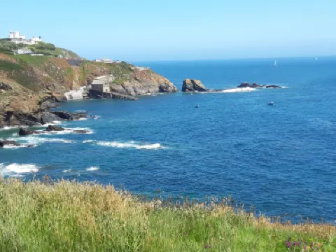 Lizard Point