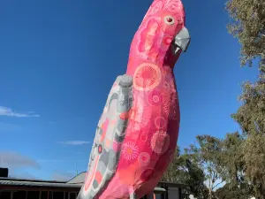 Halfway Across Australia