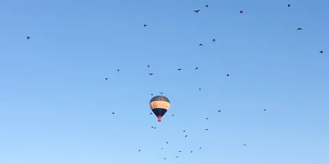 Södra kolonin Gävle