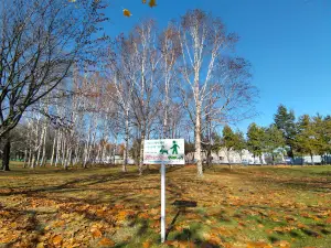 Toryo Sports Park