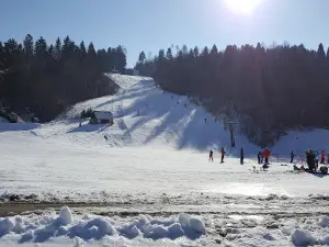 Smučišče Senožeta