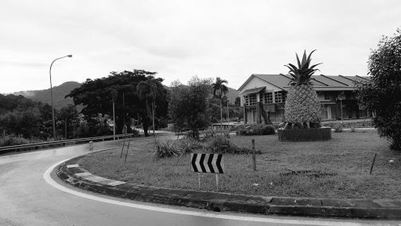 Tamparuli