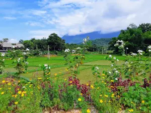 Bản Lác