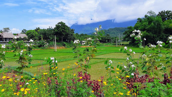 Mai Chau District