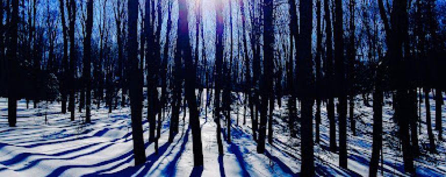 Haymeadow Flowage State Natural Area
