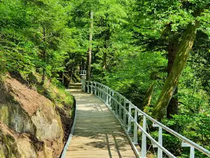 Trakošćansko jezero