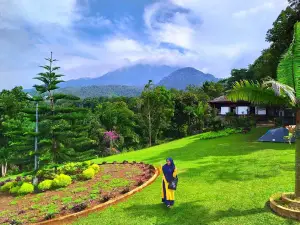 Sago Park
