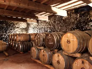 Château Arton