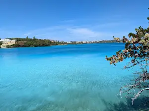 Bermuda Aquarium, Museum & Zoo