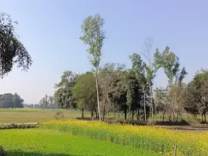 Lonawa Dargah