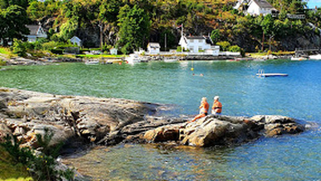 Skaubygda idrettslag