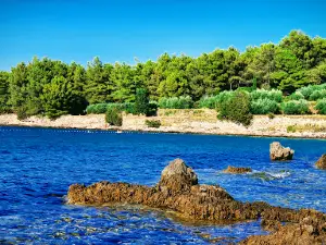 Plaža Grebišće