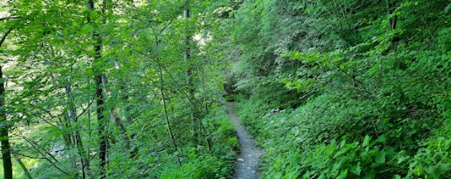 Ausgangspunkt Wassererlebnispfad Hahnenbachtal