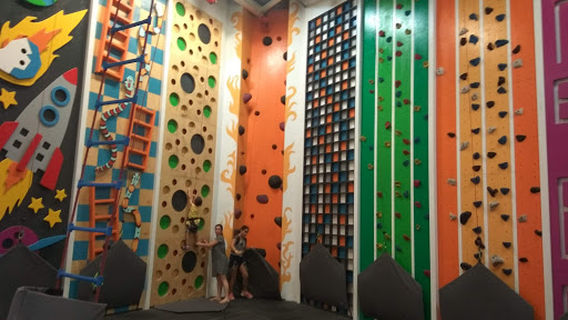 Monkeys Climbing Gym