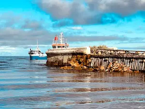 Peels Cruises