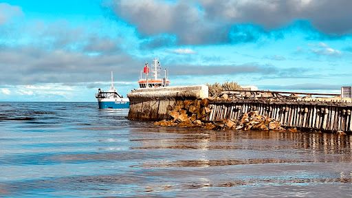 Peels Cruises