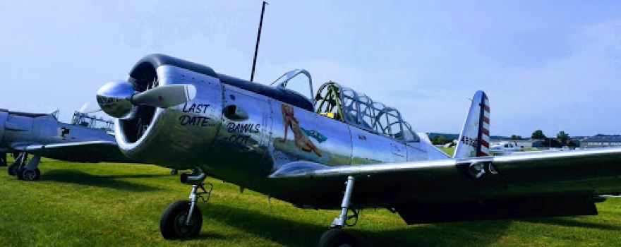 Green Ulm