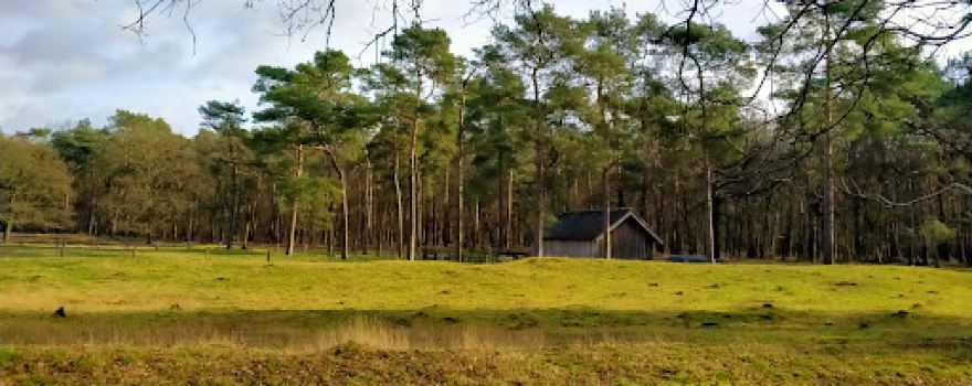 hollandse rading