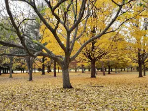 Recreation Park Disc Golf Course