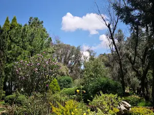 Tizatlán Botanical Garden