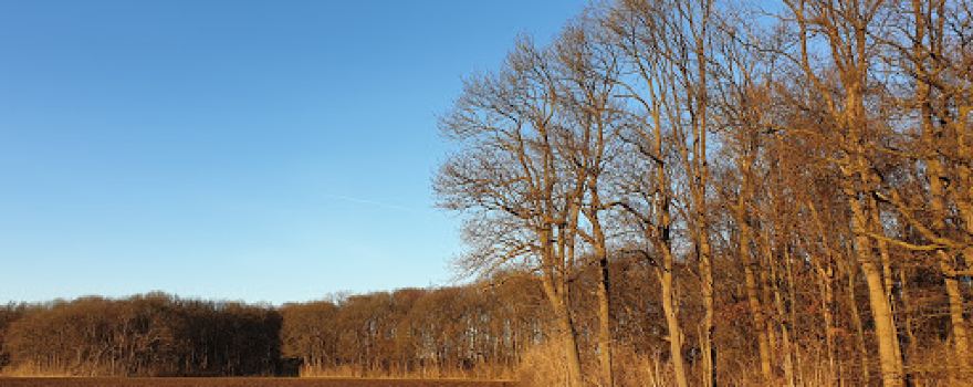 Ahrberger Holz/Groß Förster Holz