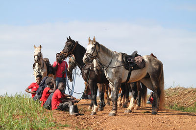 Nile Horseback Safaris