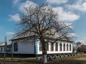 Zemskaya dvokomplektna school project A. Slastion