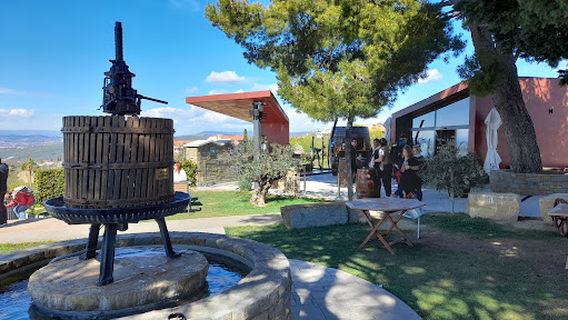 Vinska Fontana Marezige