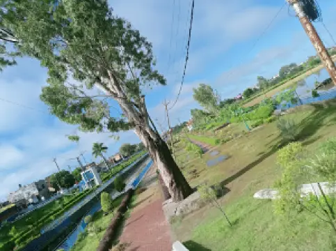 अम्बेडकर पार्क, बिलासपुर