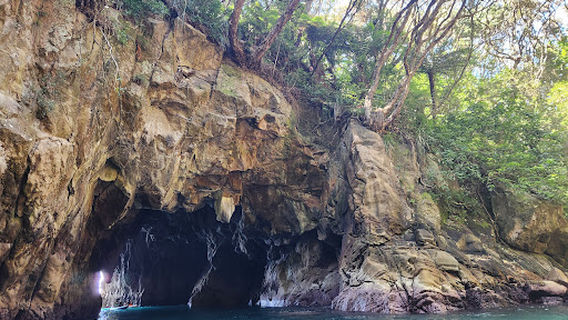 OFFICE: Whenuakura - Donut - Island Kayak Tour