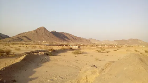 Alusailah Valley Scripture