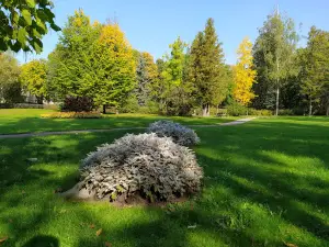 Ludzas pilsētas parks