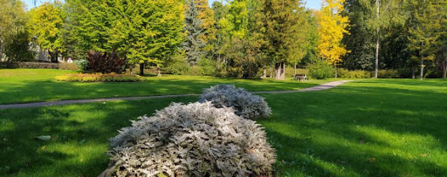 Ludzas pilsētas parks