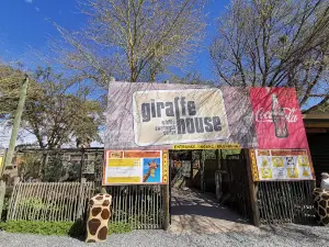Giraffe House