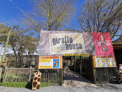 Giraffe House