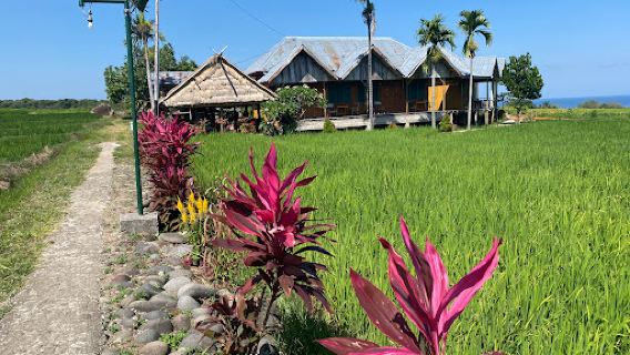 Wae Rebo Village Trail Head