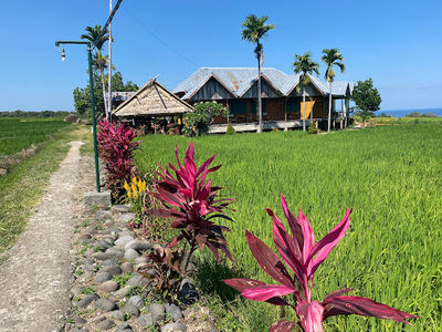 Wae Rebo Village Trail Head